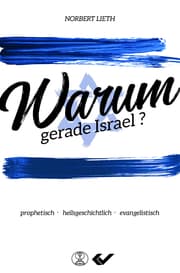 Cover von Warum gerade Israel?