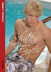 Cover von Schatten eines Engels