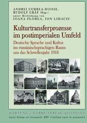 Cover von Kulturtransferprozesse im postimperialen Umfeld