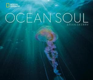 Cover von Ocean Soul