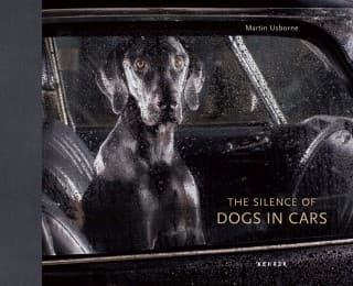 Cover von The Silence of Dogs in Cars