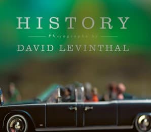 Cover von David Levinthal