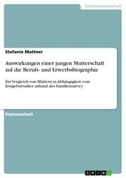 Cover von Auswirkungen einer jungen Mutterschaft auf die Berufs- und Erwerbsbiographie