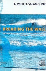Cover von Breaking The Wall