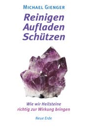 Cover von Reinigen - Aufladen - Schützen