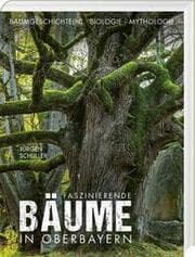 Cover von Faszinierende Bäume in Oberbayern