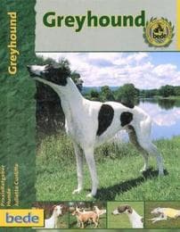 Cover von Greyhound