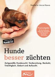 Cover von Hunde besser züchten