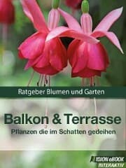 Cover von Balkon & Terasse - Pflanzen die im Schatten gedeihen