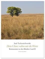 Cover von Dein Glanz nahm mir die Worte