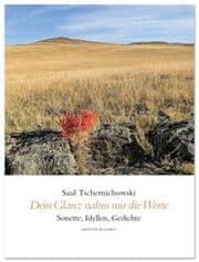 Cover von Dein Glanz nahm mir die Worte