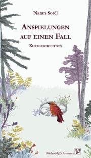 Cover von Anspielungen auf einen Fall