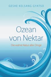 Cover von Ozean von Nektar