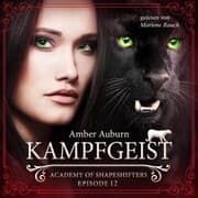 Cover von Kampfgeist, Episode 12 - Fantasy-Serie