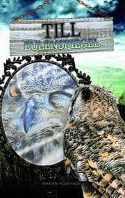 Cover von Till Eulenspiegel