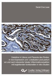 Cover von Galektine in Uterus und Plazenta des Rindes. in vivo-Expression und -Lokalisation post partum vor und nach induzierter lokaler Inflammationsreaktion mit begleitenden funktionellen in vitro-Studien