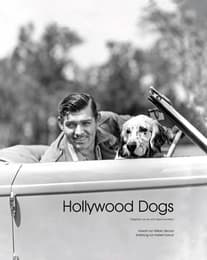 Cover von Hollywood Dogs
