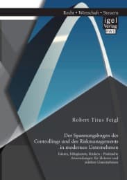 Cover von Der Spannungsbogen des Controllings und des Riskmanagements in modernen Unternehmen: Fakten, Fähigkeiten, Risiken - Praktische Anwendungen für kleinere und mittlere Unternehmen