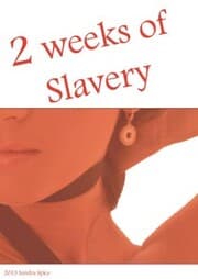 Cover von 2 weeks of slavery