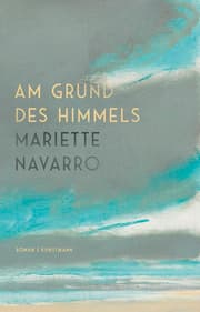 Cover von Am Grund des Himmels