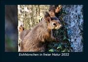 Cover von Eichhörnchen in freier Natur 2022 Fotokalender DIN A5