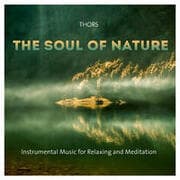 Cover von The Soul Of Nature