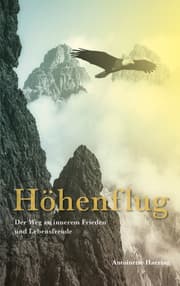 Cover von Höhenflug