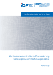 Cover von Mechanismenkontrollierte Prozessierung bandgegossener Hochmanganstähle
