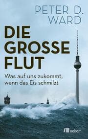Cover von Die große Flut
