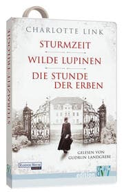 Cover von Sturmzeittrilogie