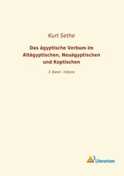 Cover von Das ägyptische Verbum im Altägyptischen, Neuägyptischen und Koptischen