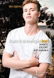 Cover von Kämpfer für die Gerechtigkeit 3