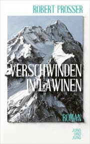 Cover von Verschwinden in Lawinen