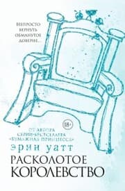 Cover von Kingdom shattered