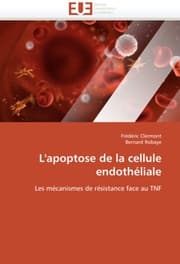 Cover von L'apoptose de la cellule endotheliale