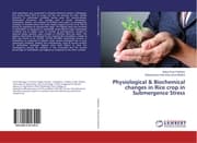 Cover von Physiological & Biochemical changes in Rice crop in Submergence Stress