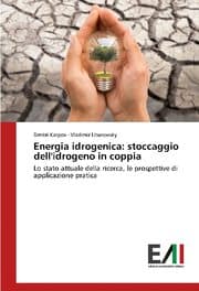 Cover von Energia idrogenica: stoccaggio dell'idrogeno in coppia