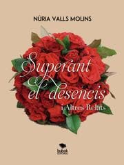 Cover von Superant el desencís i altres relats