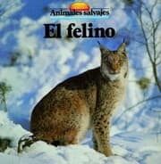 Cover von El felino