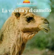 Cover von La vicuña y el camello