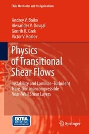 Cover von Physics of Transitional Shear Flows