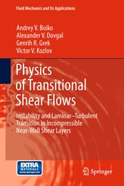 Cover von Physics of Transitional Shear Flows