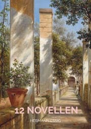 Cover von 12 Novellen