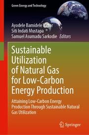 Cover von Sustainable Utilization of Natural Gas for Low-Carbon Energy Production