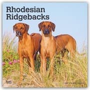 Cover von Rhodesian Ridgebacks 2027