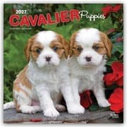 Cover von Cavalier King Charles Spaniel Puppies/Cavalier King Charles Spaniel Welpen 2027